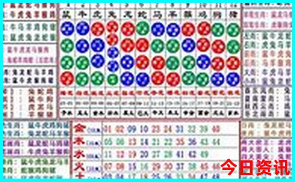 红五图库天牛图库